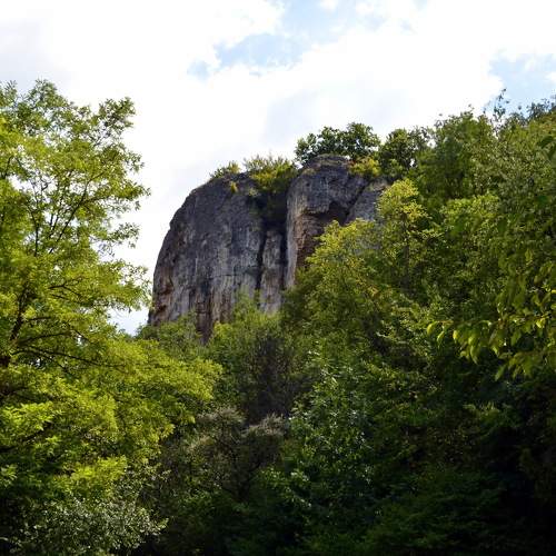 Photo #10452487