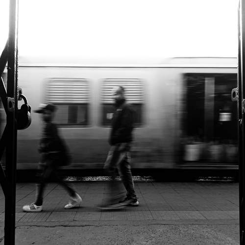 Life in motion