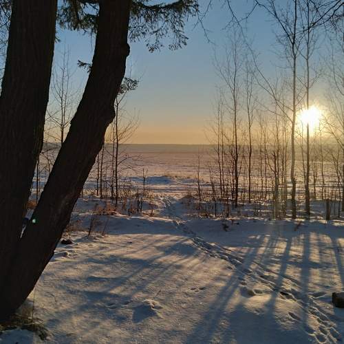 Photo #10452907