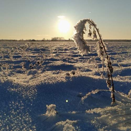 Photo #10452908