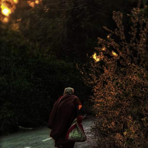 Photo #10452990