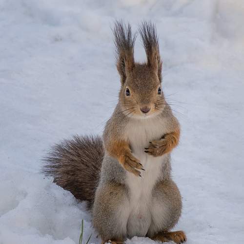 Photo #10453287