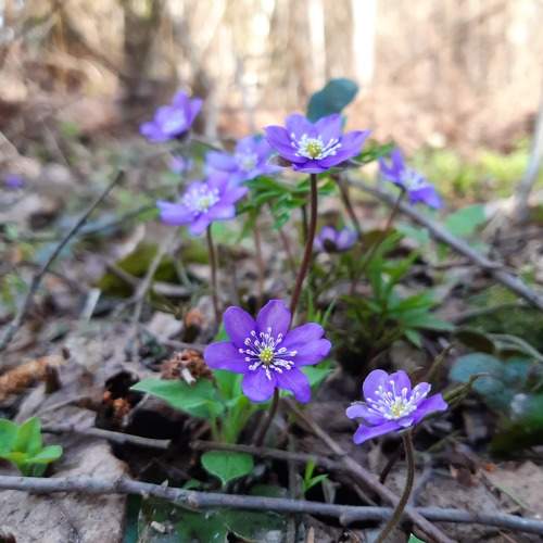 Photo #10453853