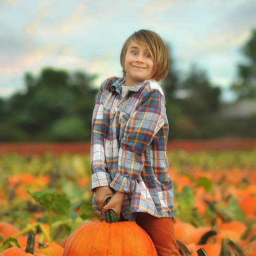 Photo #10454041