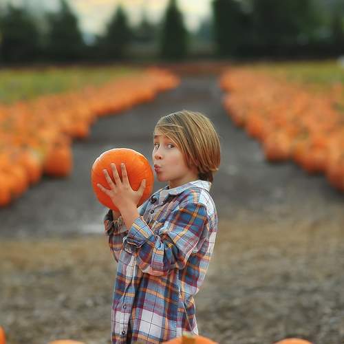 Photo #10454042
