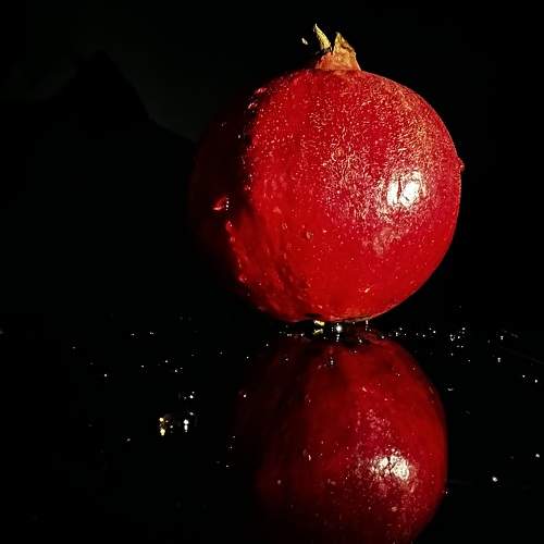 Photo #10454114