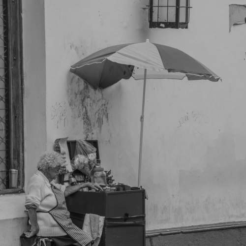 A Pause in the Day