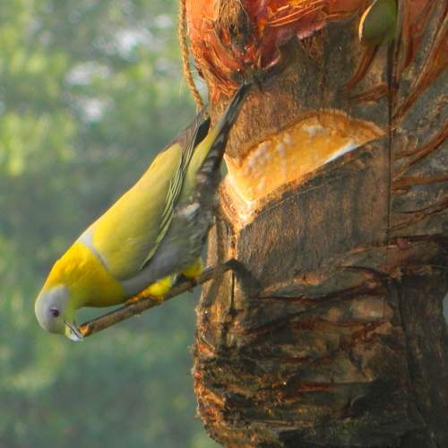Photo #10454279