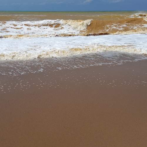 Photo #10454609