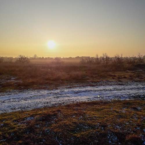 Photo #10454664