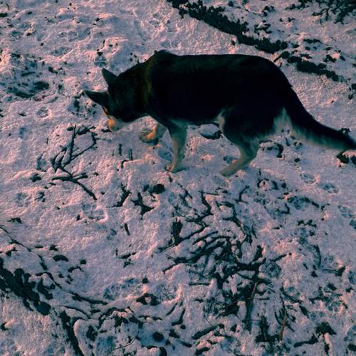 Photo #10454677