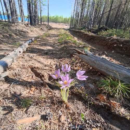 Photo #10454708