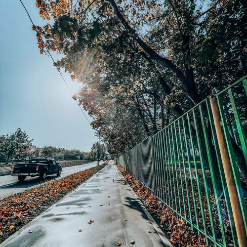 Photo #10454835