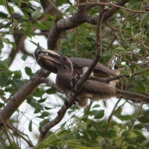 Photo #10455139
