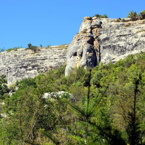 Photo #10455549