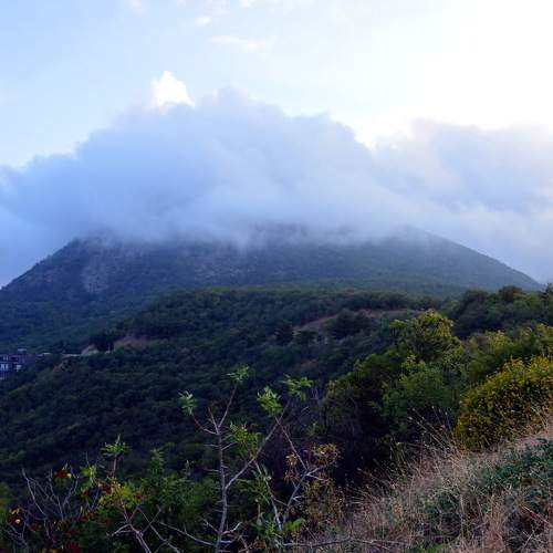 Photo #10455552