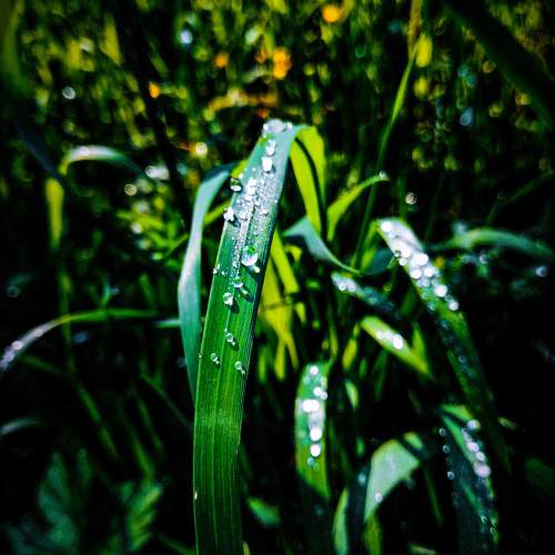 Photo #10455556