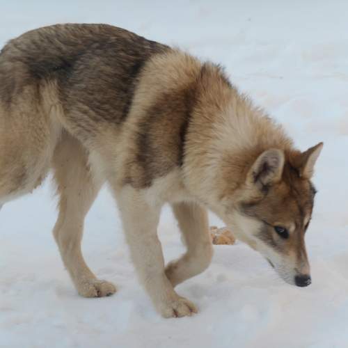 Photo #10455611
