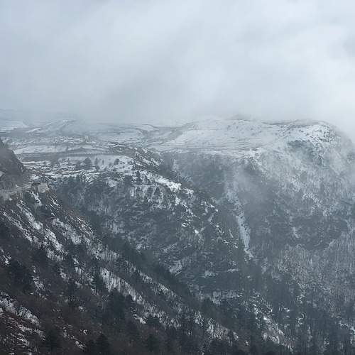 Photo #10455619
