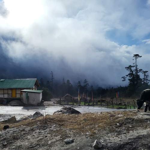 Photo #10455625