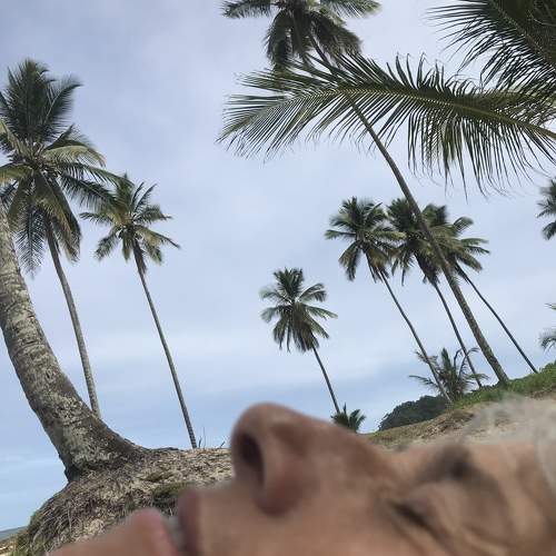 Photo #10455641