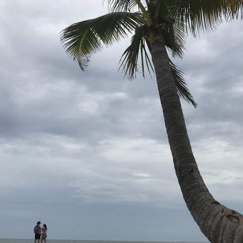 Photo #10455644