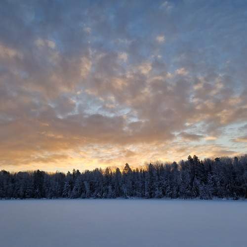 Photo #10455705