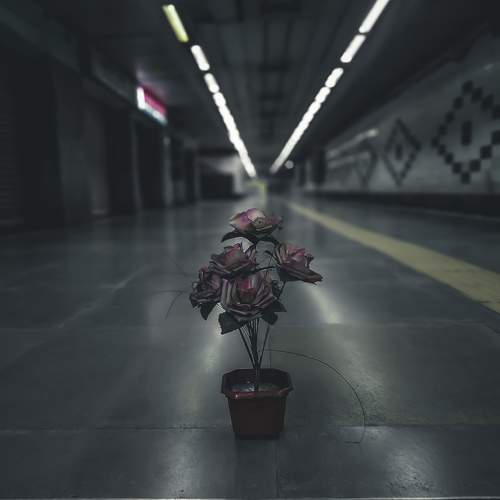 Фотография #10455722