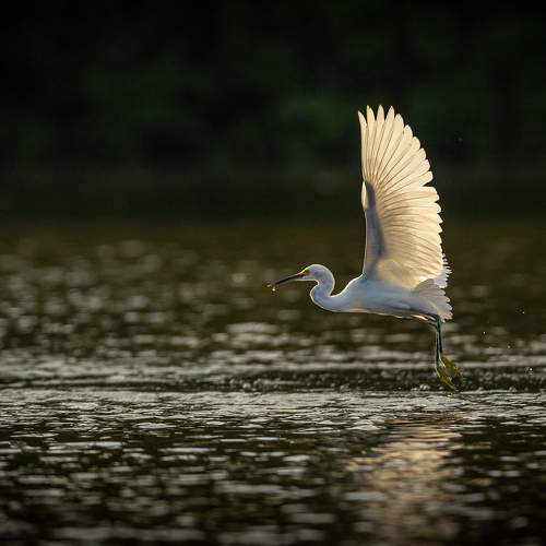 Фотография #10455765