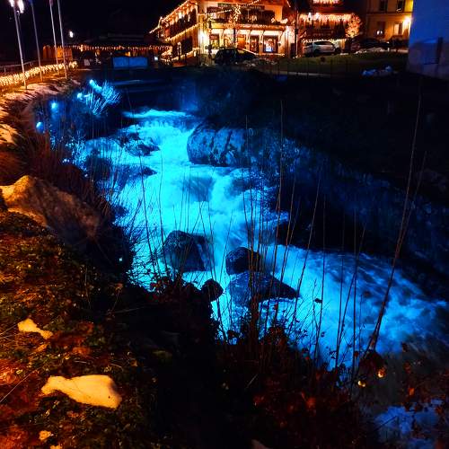 Photo #10456092
