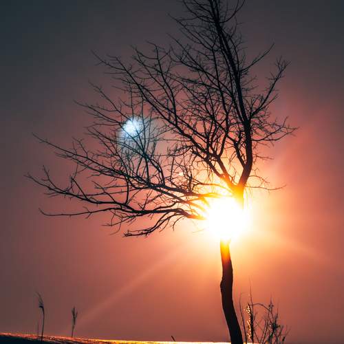 Photo #10456209