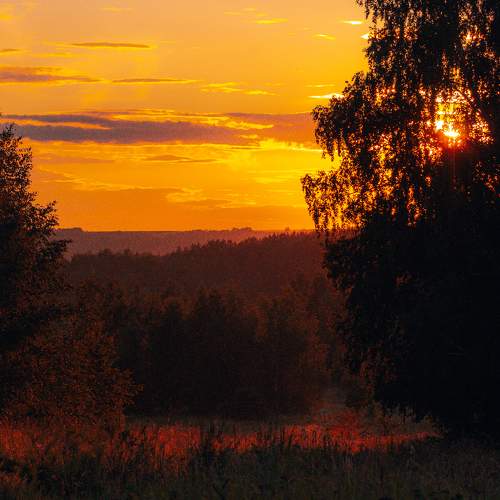 Photo #10456217