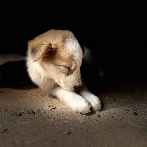 Photo #10456447
