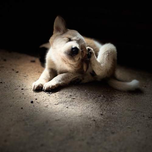 Photo #10456448
