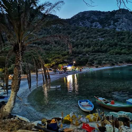 Photo #10456542