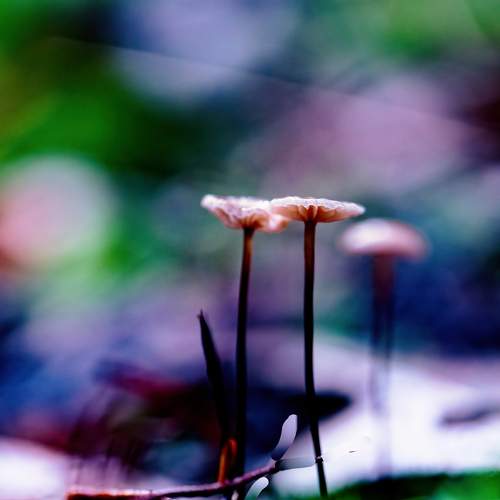 Photo #10456626