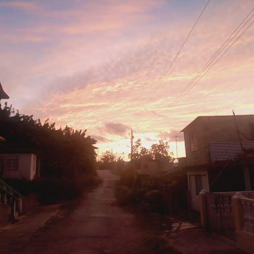 Photo #10456710
