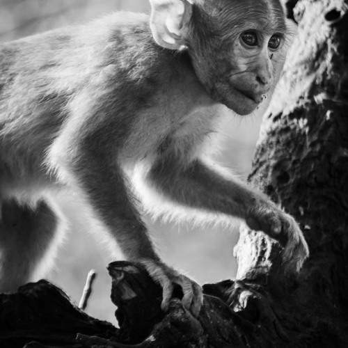 Photo #10456846