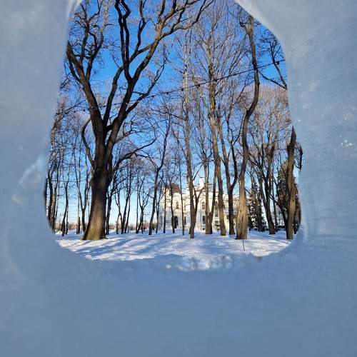 Photo #10456979