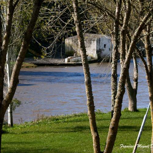 Photo #10457210