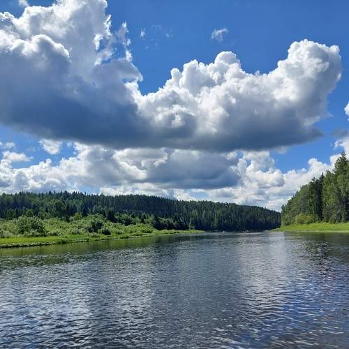 Photo #10457423