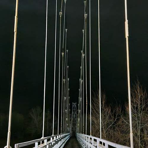 Photo #10457502