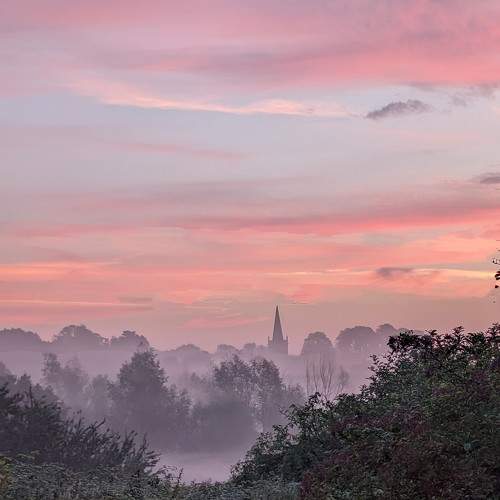 Photo #10457643