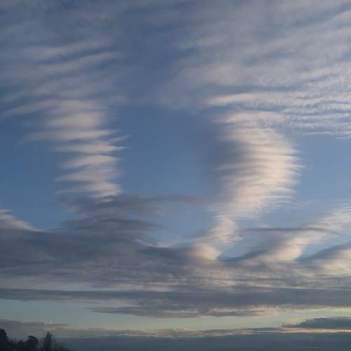 Photo #10458030