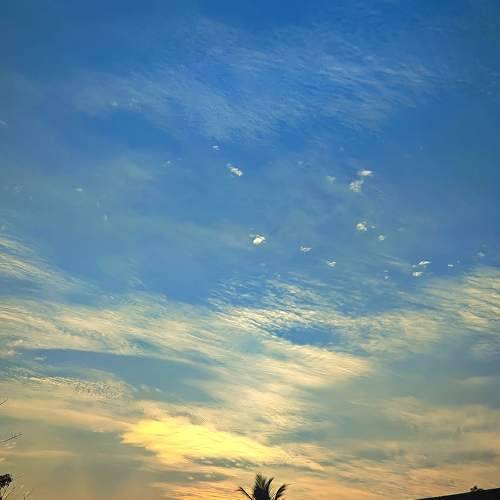 Photo #10458078