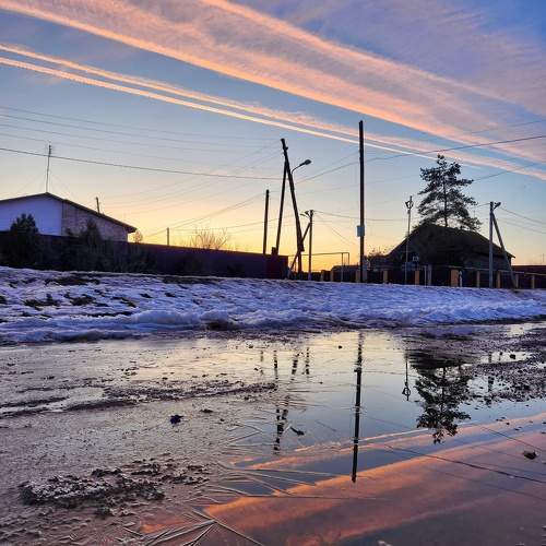 Photo #10458089