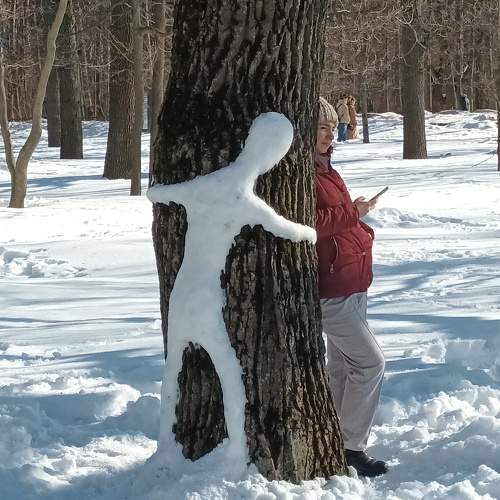 Photo #10458516