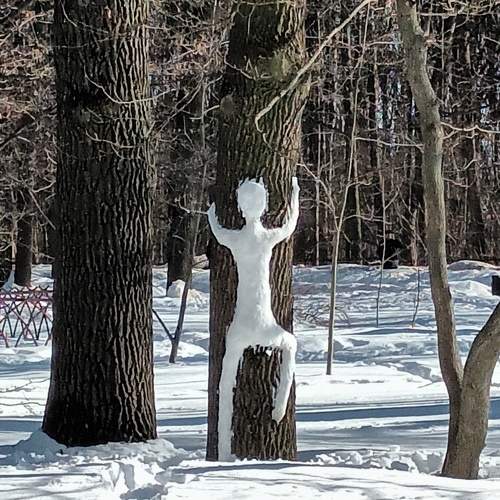 Photo #10458518