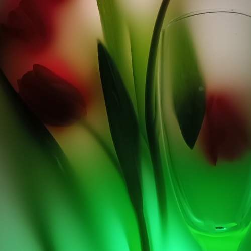 Photo #10458520