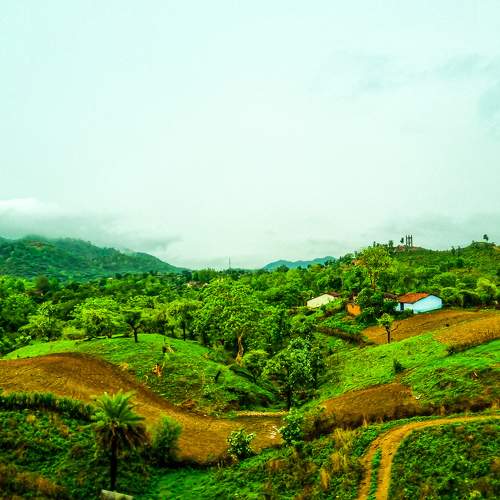 Village in greenery ?